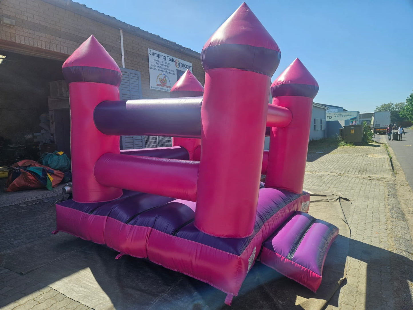 Standard Pink & Purple