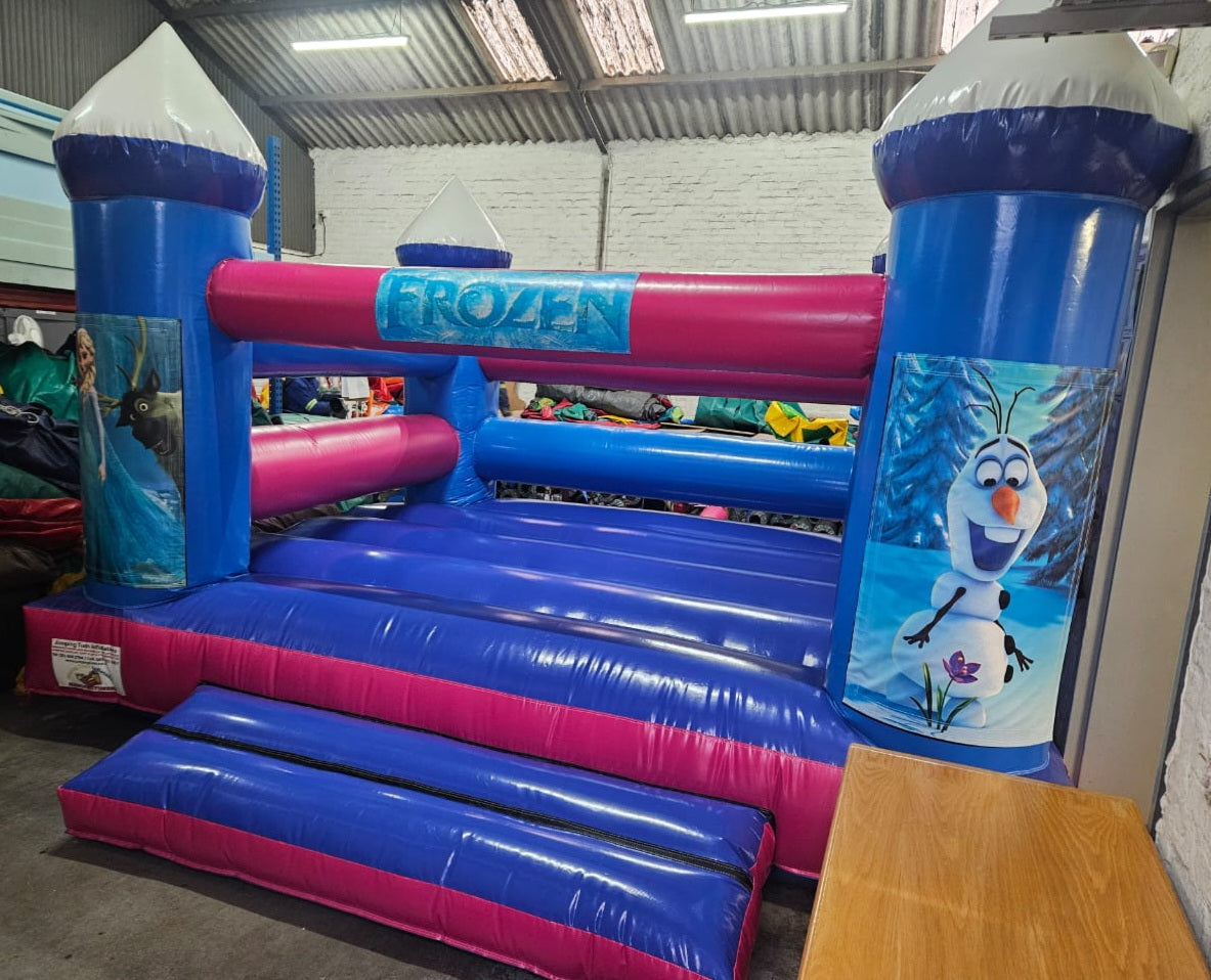 Themed Castle - Frozen