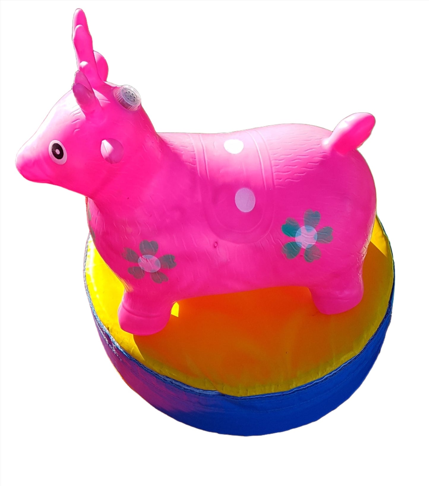 Animal Hopper Combo