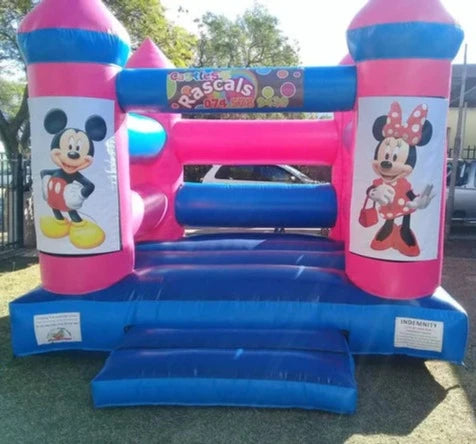 Themed Castle - Micki & Mini
